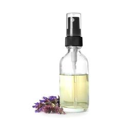 Photo of Bottle of herbal essential oil and sage flowers isolated on white