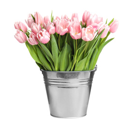 Photo of Beautiful pink spring tulips in bucket isolated on white