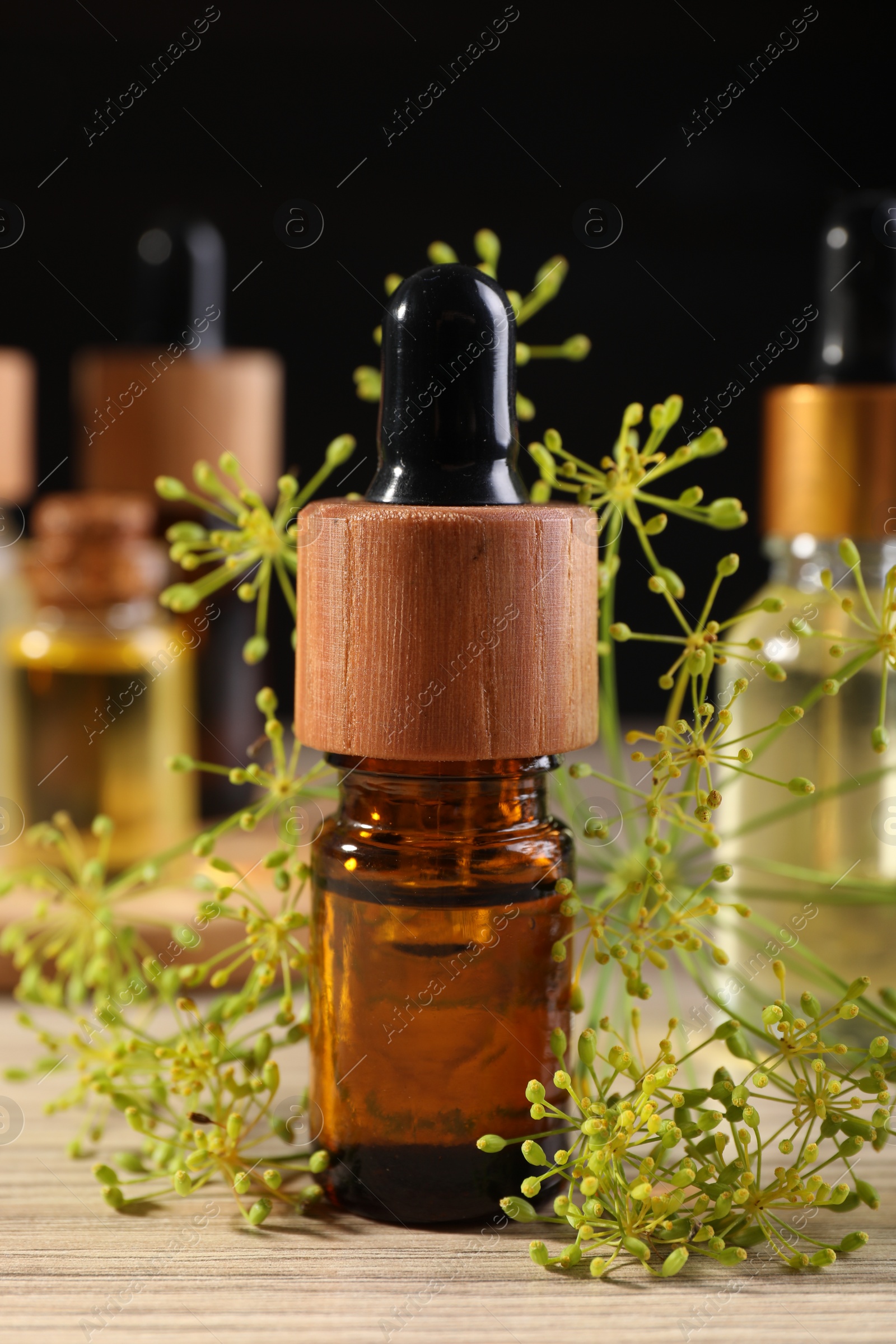 Photo of Bottles of essential oil and fresh dill on wooden table