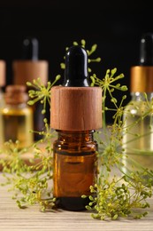 Photo of Bottles of essential oil and fresh dill on wooden table