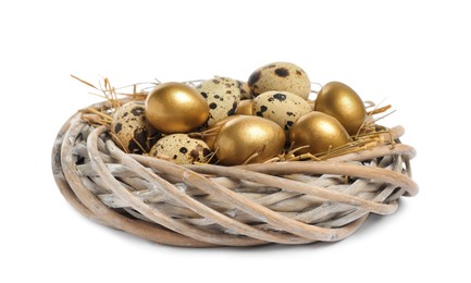 Photo of Nest with golden and ordinary quail eggs on white background