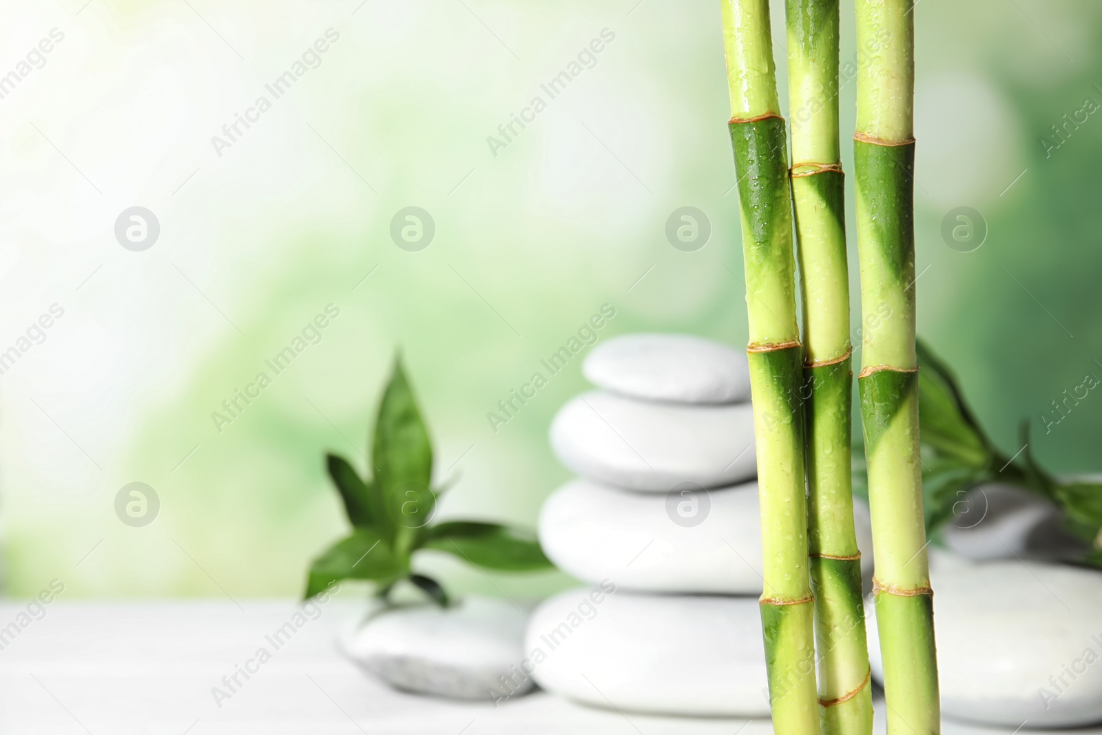 Photo of Bamboo branches against blurred spa stones on table. Space for text