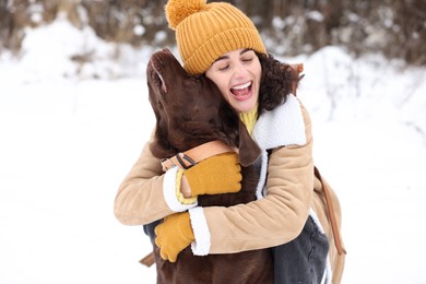 Woman with adorable Labrador Retriever dog in snowy park