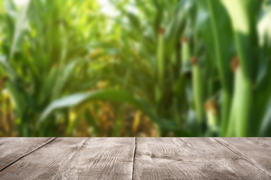 Image of Empty wooden surface and blurred view of beautiful corn field. Space for text