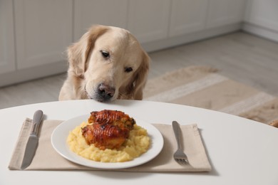 Photo of Cute dog trying to steal owner's food from table in kitchen