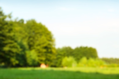 Photo of Blurred viewlandscape with meadow and trees on sunny day