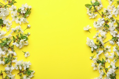 Flat lay composition of beautiful fresh spring flowers on color background, space for text