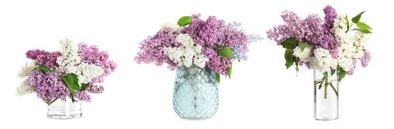 Collage with beautiful lilac flowers in different glass vases on white background. Banner design