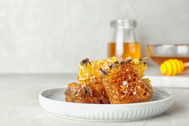 Image of Fresh sweet honeycombs and bees on table