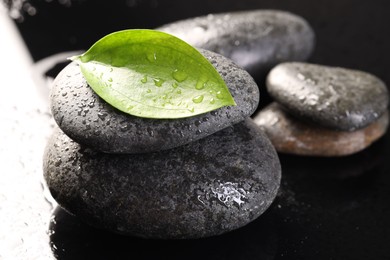 Wet spa stones and green leaf in water on black background, closeup