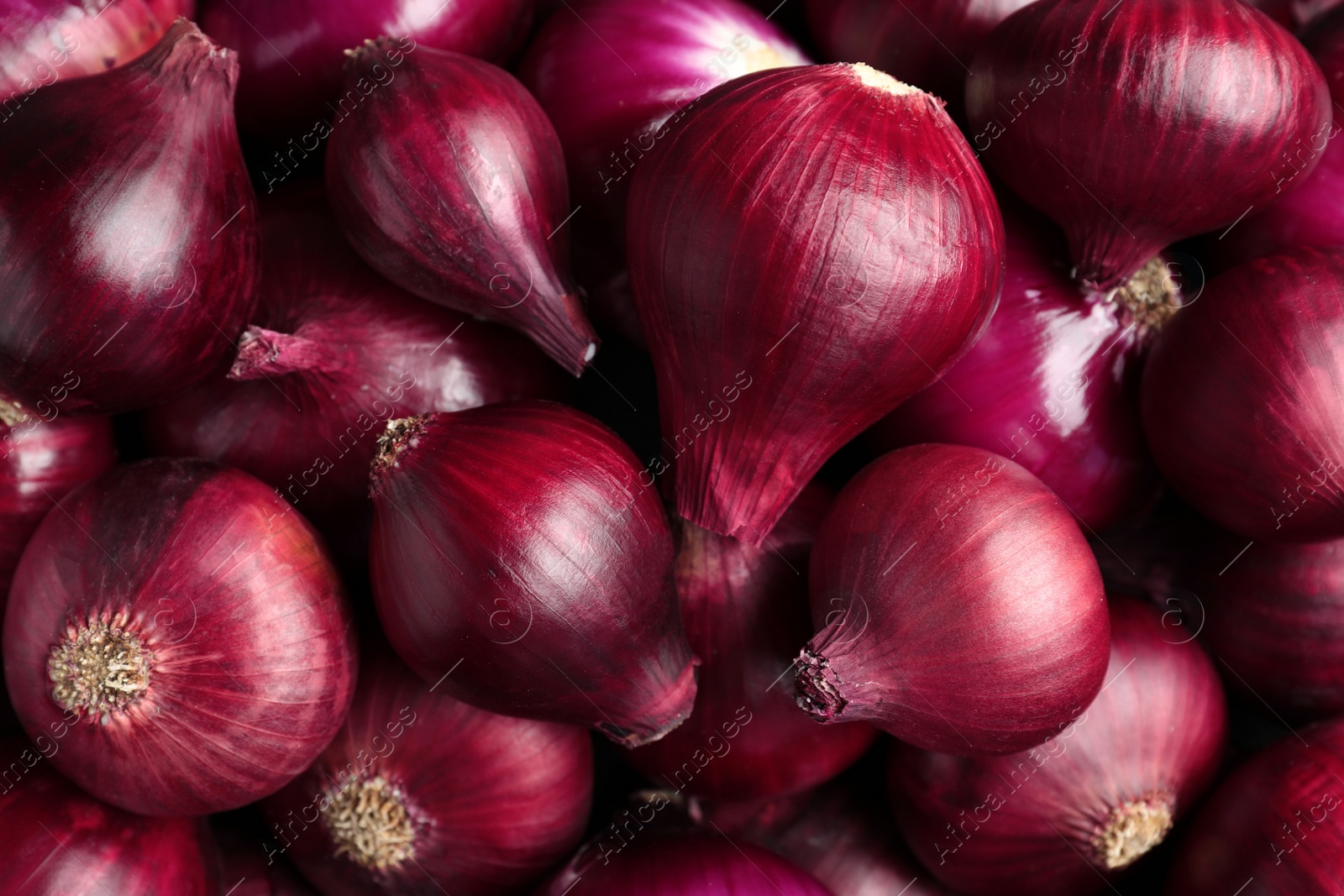 Photo of Bright red ripe onions as background, top view