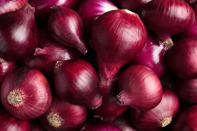 Bright red ripe onions as background, top view