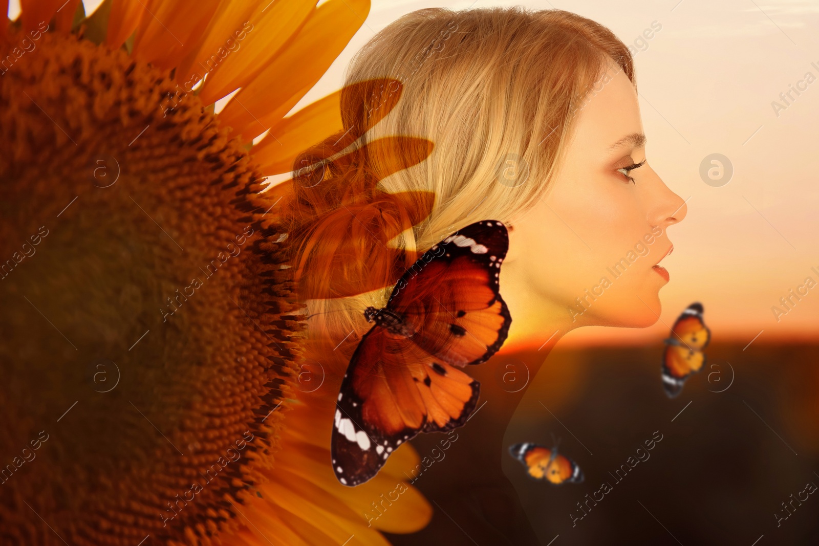 Image of Harmony, balance, mindfulness. Beautiful woman, sunflower and butterflies in field at sunset, double exposure