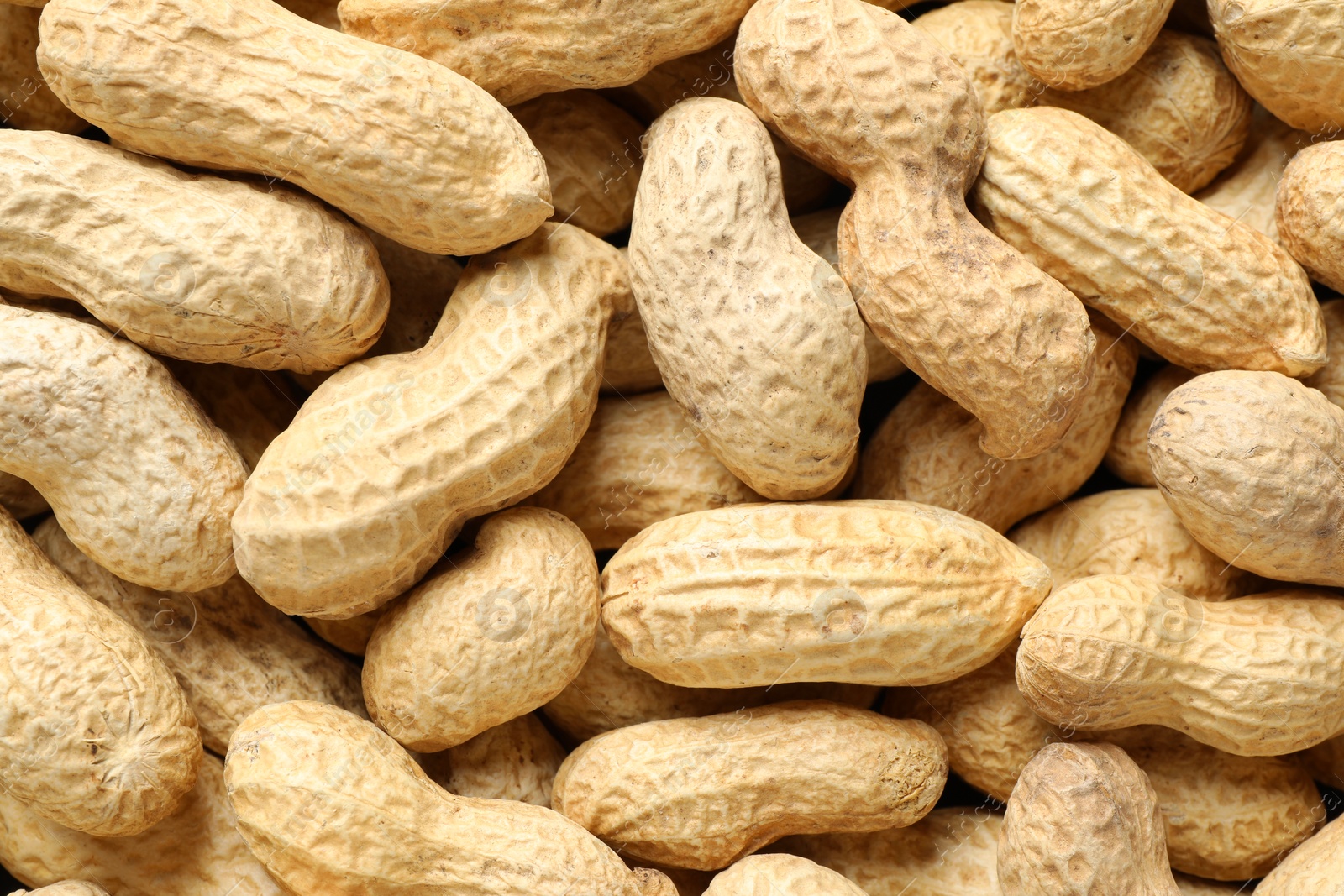 Photo of Many fresh unpeeled peanuts as background, top view