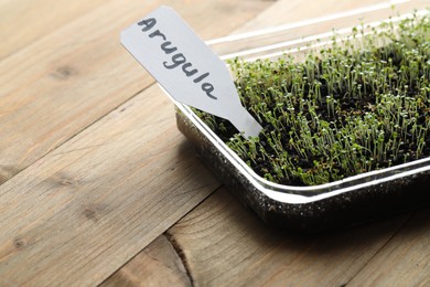 Photo of Young sprouts and card with word Arugula on wooden table, closeup. Space for text