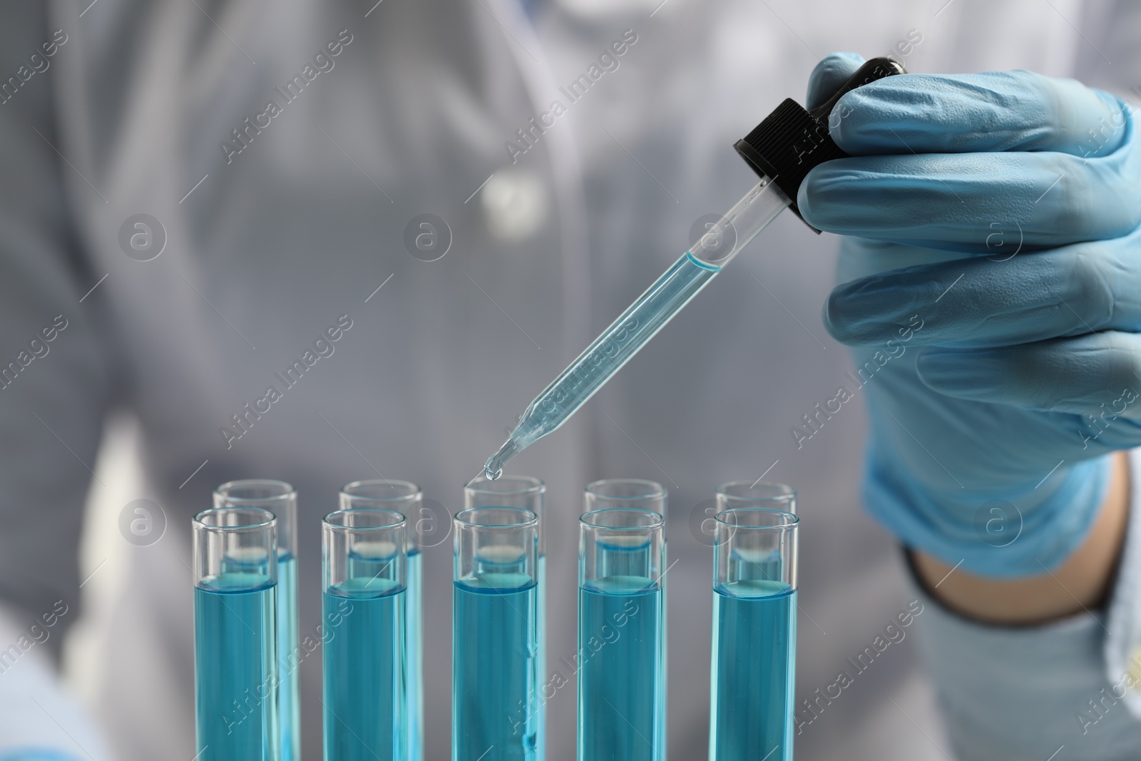 Photo of Scientist dripping liquid from pipette into test tube in laboratory, closeup