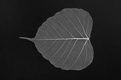 Photo of Beautiful decorative skeleton leaf on black background, top view