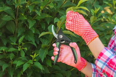 Photo of Woman in gardening gloves pruning bush with secateurs outdoors, closeup