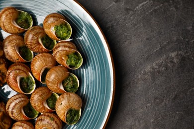 Photo of Delicious cooked snails served on grey table, top view. Space for text