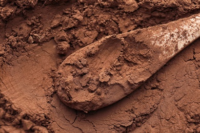 Wooden spoon on cocoa powder, top view