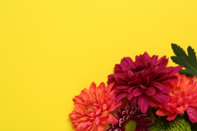 Photo of Beautiful chrysanthemum bouquet on yellow background, top view. Space for text