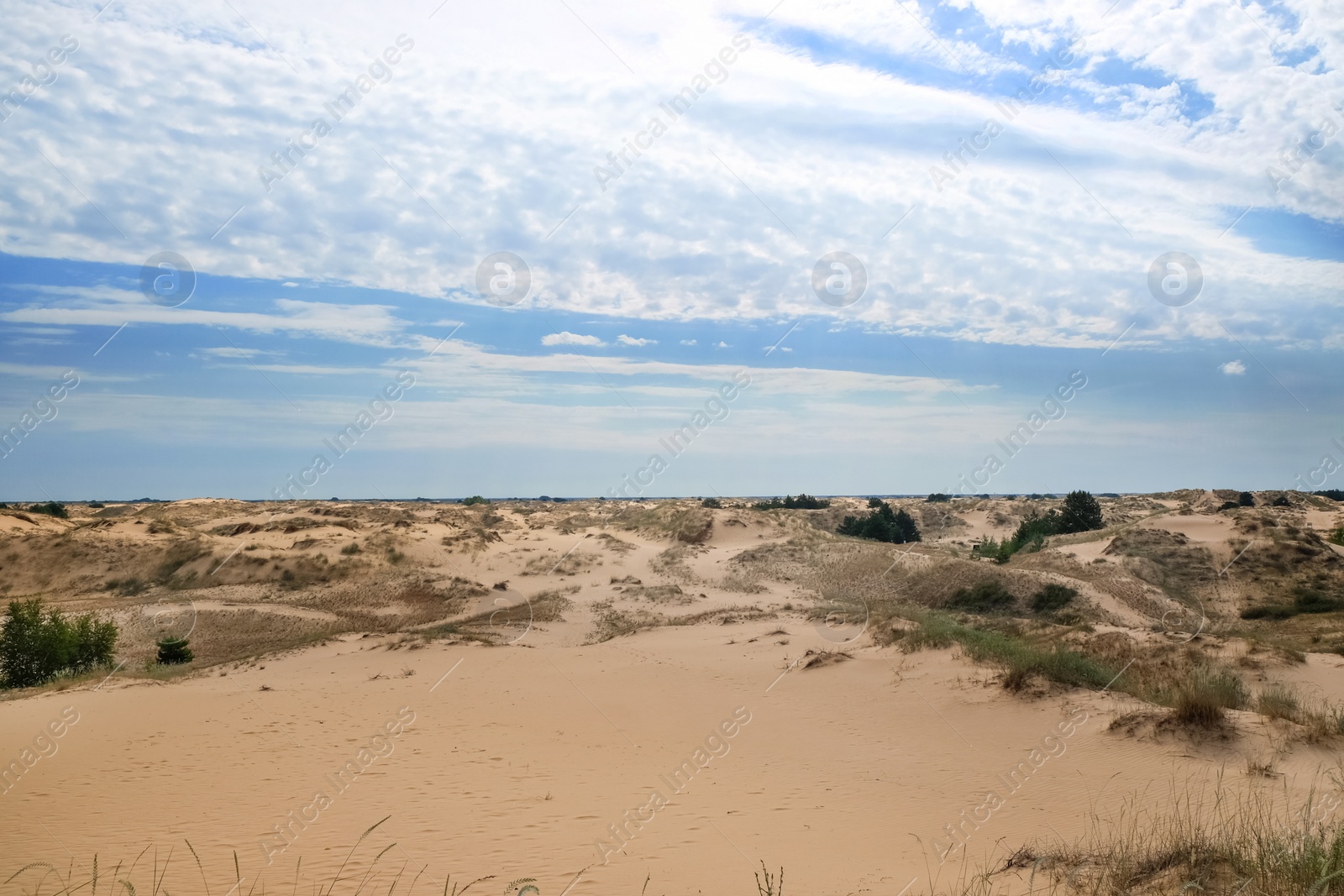 Photo of Picturesque landscape of desert with green grass and blue sky