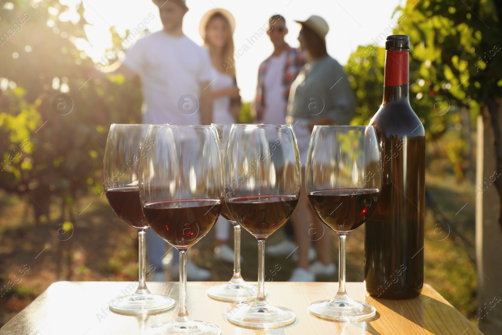 Photo of Bottle of red wine with glasses on wooden table and friends in vineyard