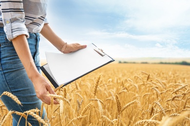 Photo of Young agronomist with clipboard in grain field. Cereal farming