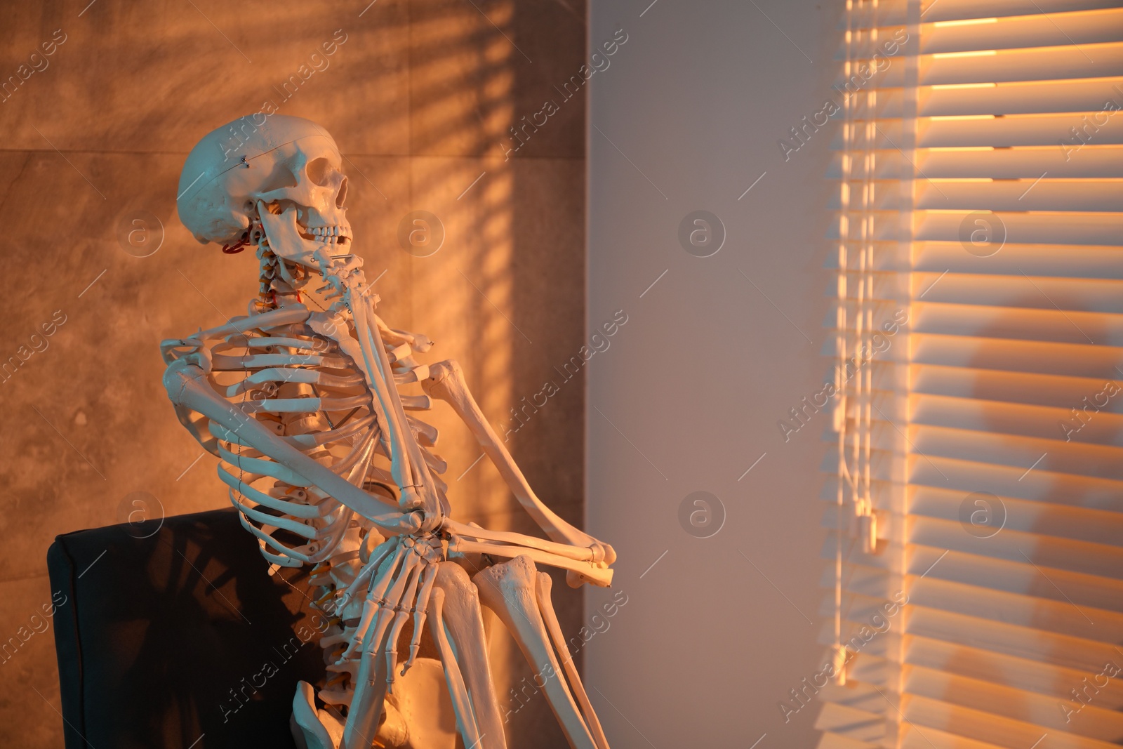 Photo of Waiting concept. Human skeleton sitting in armchair indoors, space for text