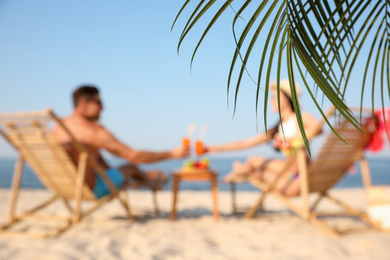 Couple resting on sunny beach at resort, focus on palm leaves