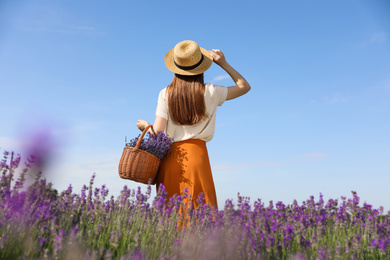 Photo of Young woman with wicker basket full of lavender flowers in field