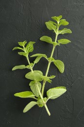 Photo of Sprigs of fresh green oregano on dark gray textured table, top view