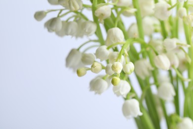 Photo of Beautiful lily of the valley flowers on light grey background, closeup. Space for text