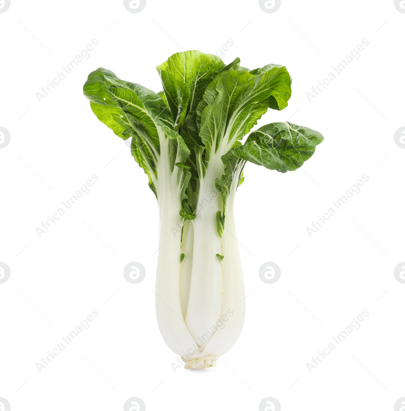 Photo of Fresh green pak choy cabbage isolated on white, top view