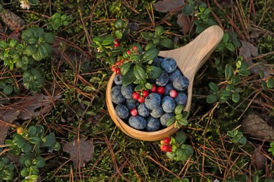 Photo of Wooden mug full of fresh ripe blueberries and lingonberries in grass, above view. Space for text