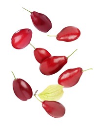 Many fresh dogwood berries falling on white background