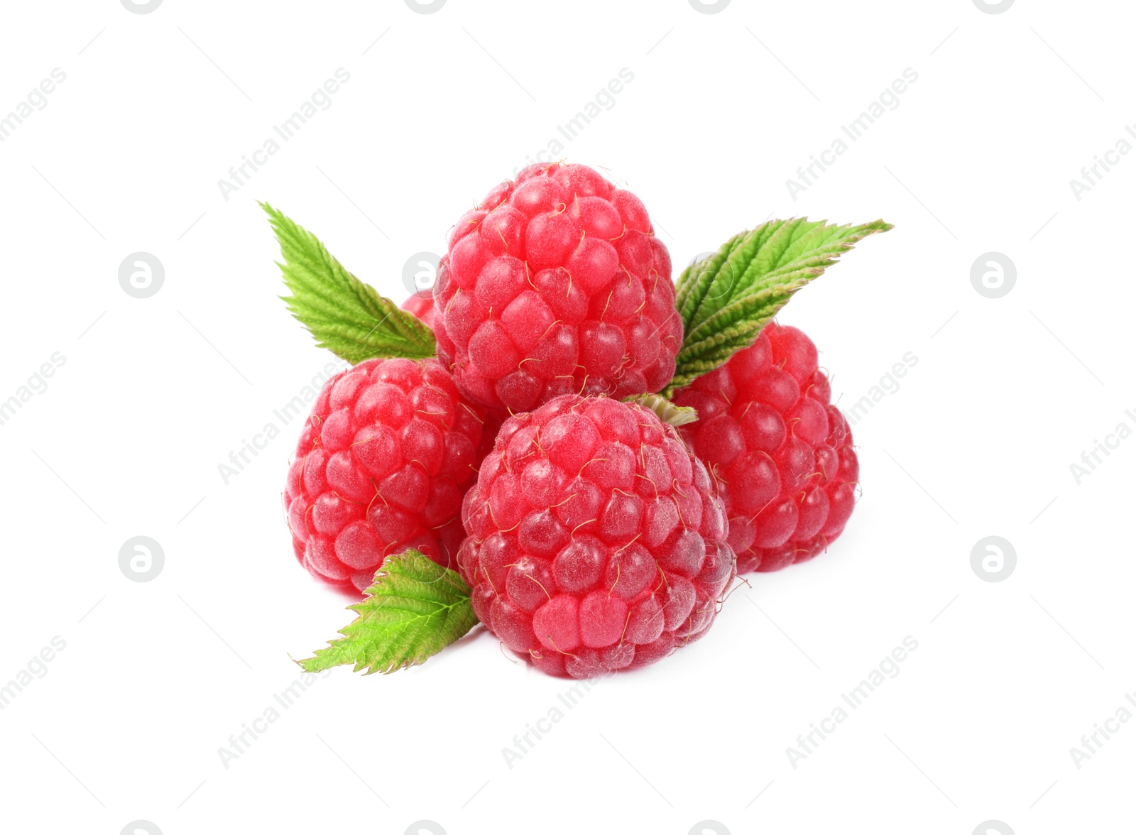 Photo of Many fresh ripe raspberries and green leaves isolated on white