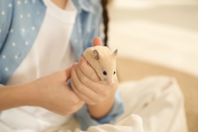 Little girl holding cute hamster at home, closeup