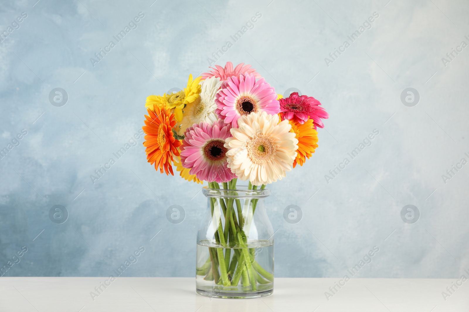 Photo of Bouquet of beautiful bright gerbera flowers in glass vase on table against color background