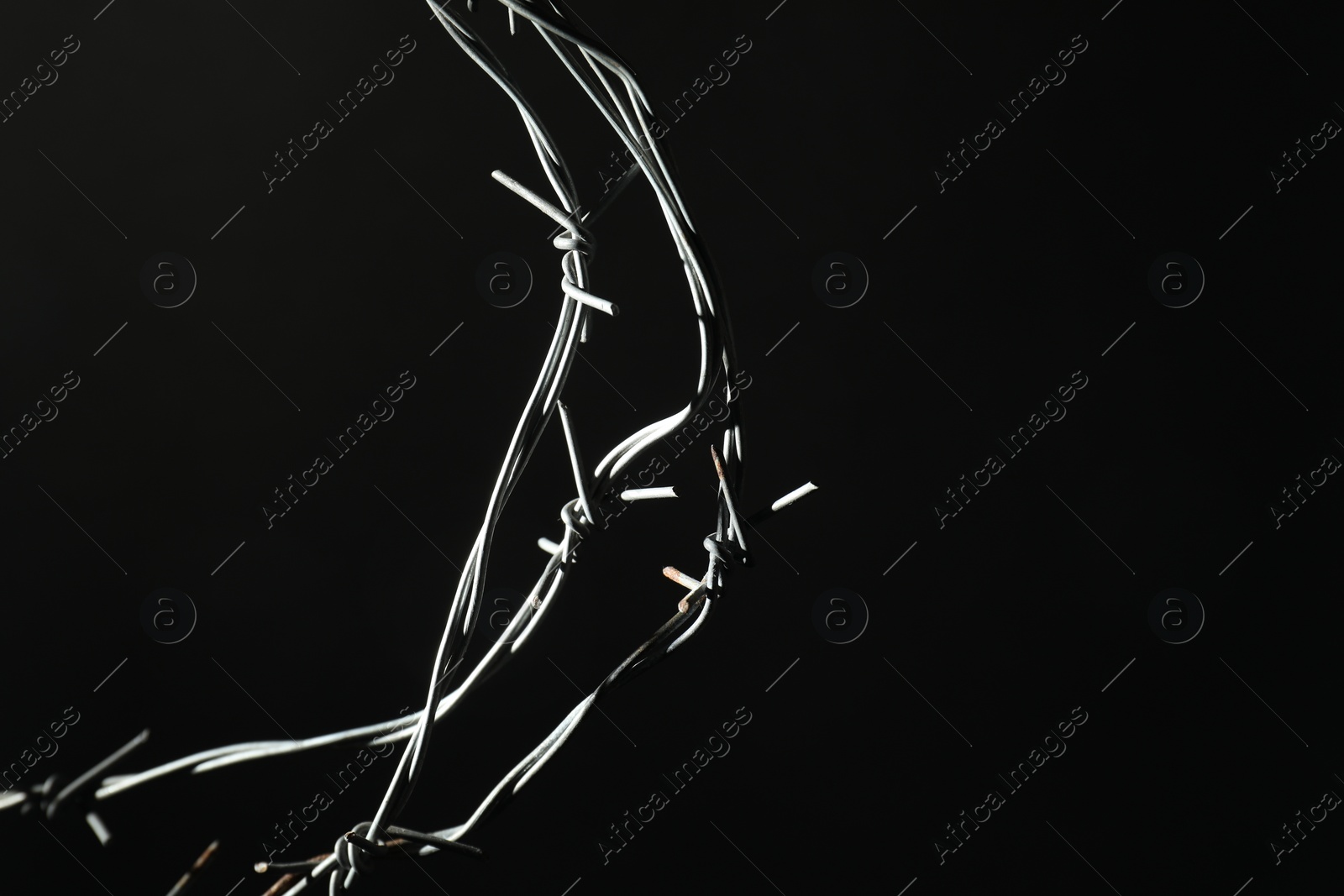 Photo of Metal barbed wire on black background, closeup. Space for text