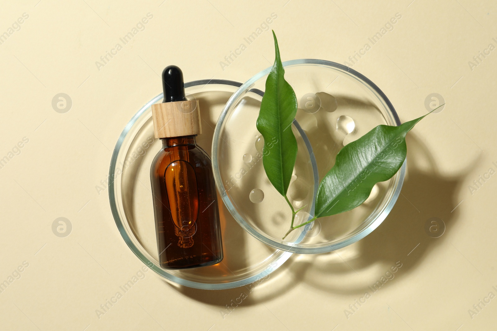 Photo of Petri dishes with cosmetic products and leaves on beige background, flat lay