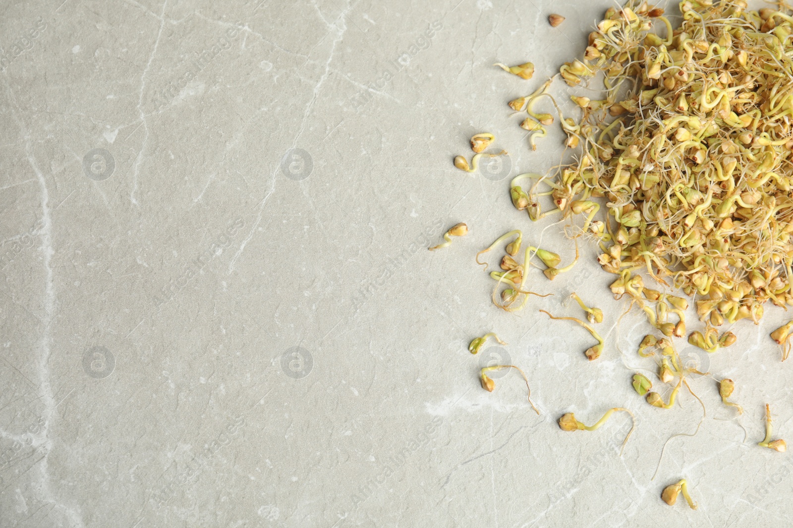 Photo of Heap of sprouted green buckwheat on light grey table, flat lay. Space for text