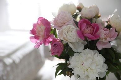 Photo of Beautiful blooming peonies against blurred background, closeup