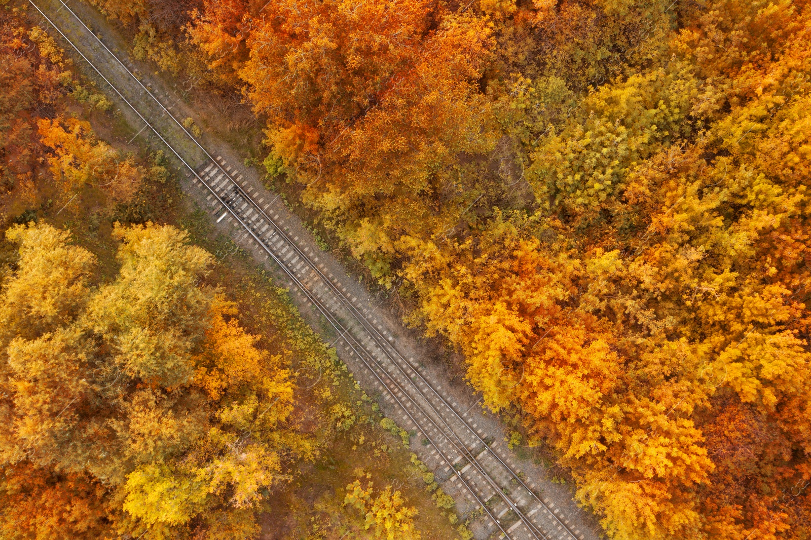 Image of Beautiful aerial view of autumn forest crossed by railway