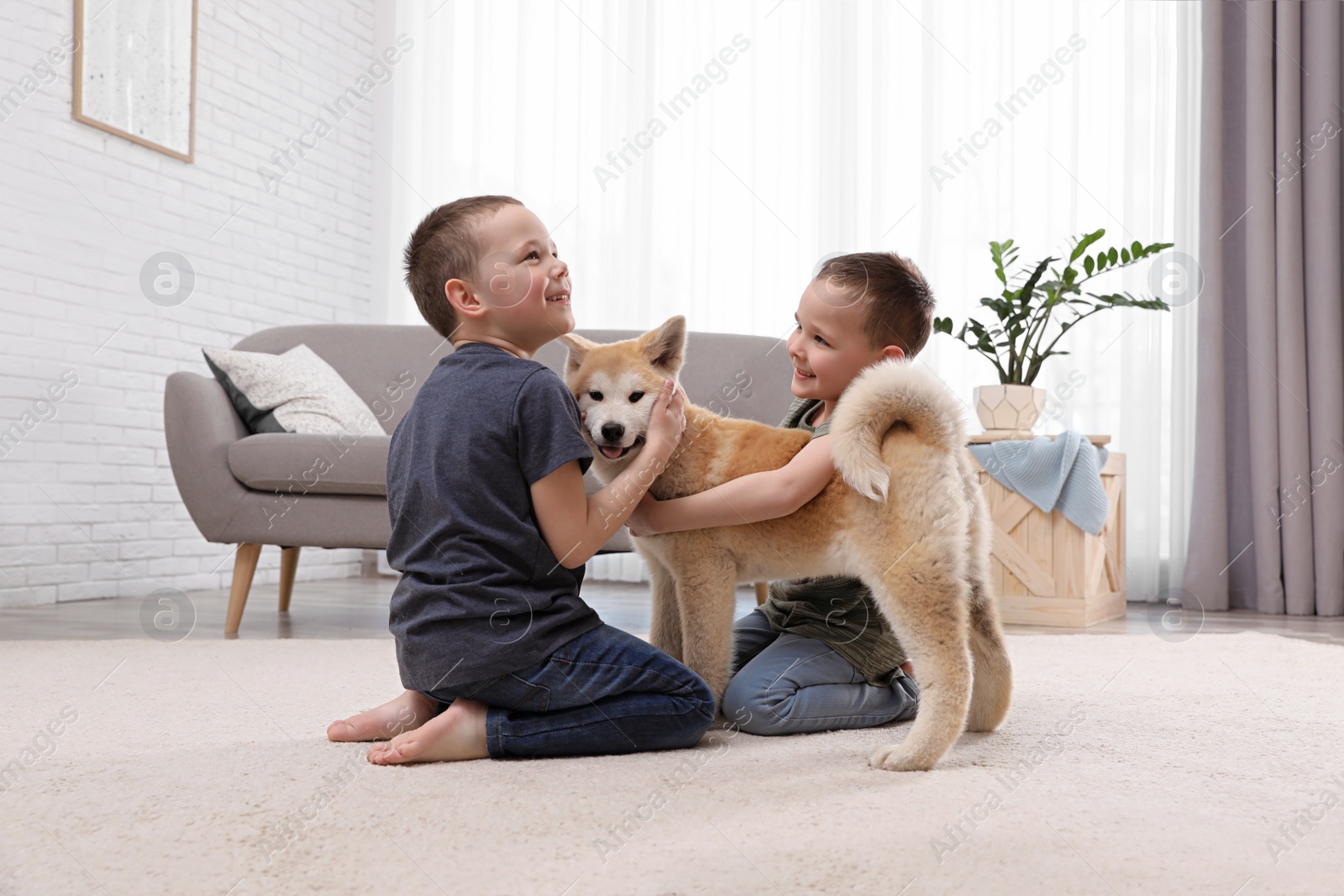 Photo of Happy boys with Akita Inu dog on floor in living room. Little friends