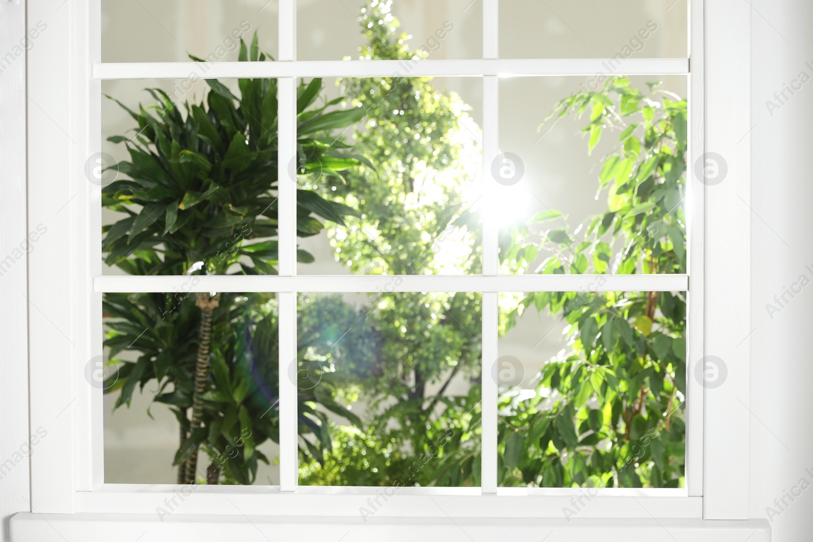 Photo of Beautiful view through window on garden in morning