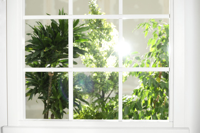 Photo of Beautiful view through window on garden in morning