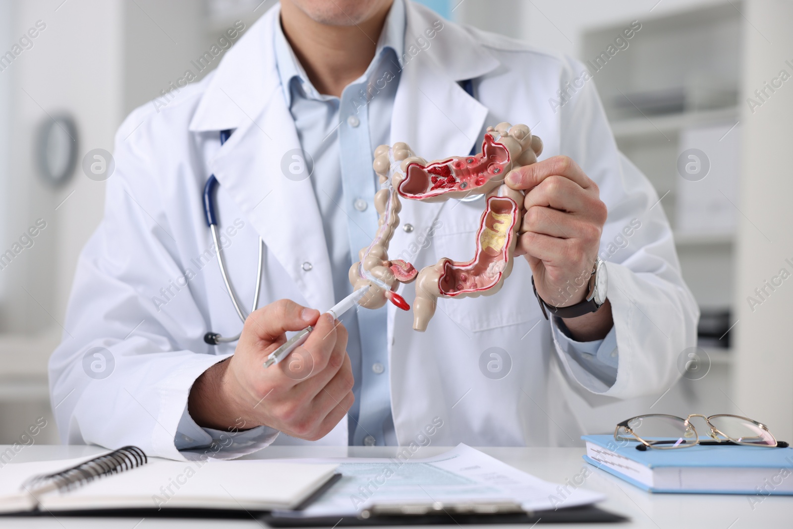 Photo of Gastroenterologist showing anatomical model of large intestine at table in clinic, closeup