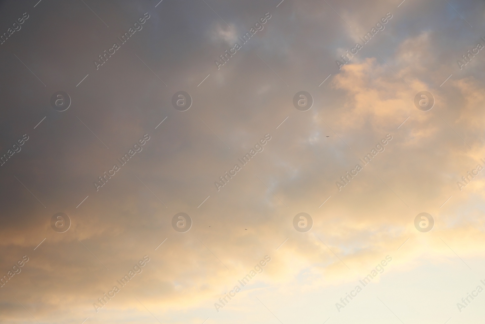 Photo of Picturesque view of beautiful light blue sky. Cloudy weather