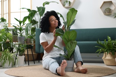 Relaxing atmosphere. Woman with ficus near another potted houseplants in room